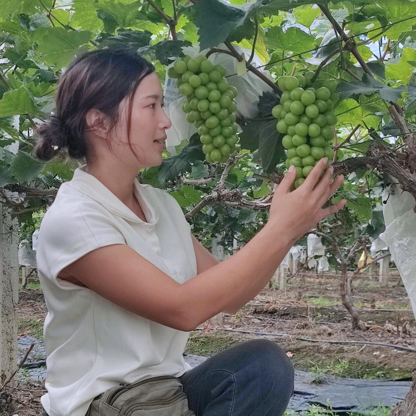 中山乐源农场 菜园子