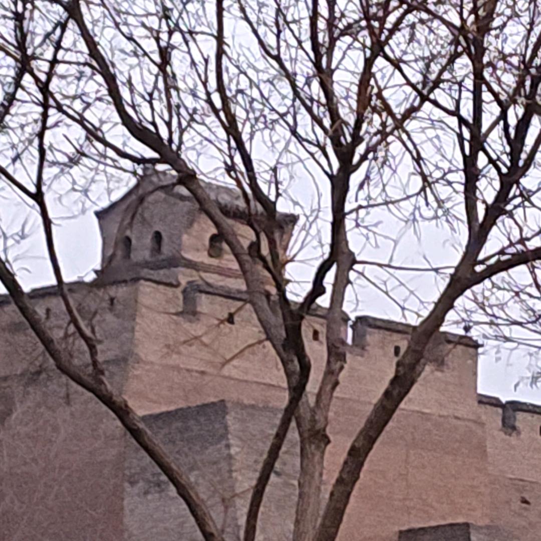 tt猫（暗区突围版）