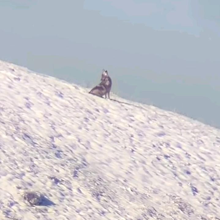 💥((🔥⥎🔥))💥