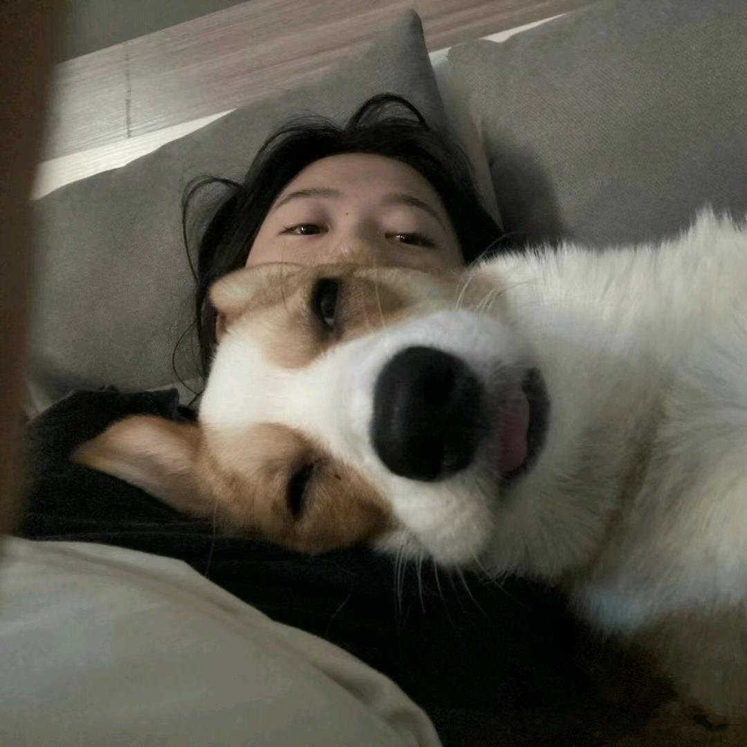 每天都好累