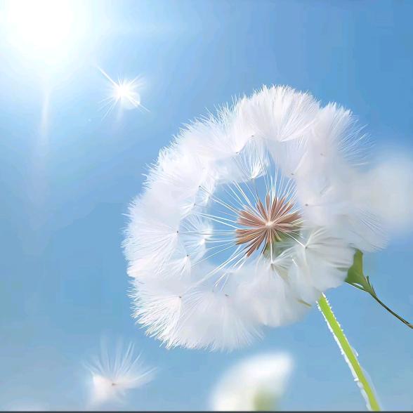 也无风雨也无晴🌱