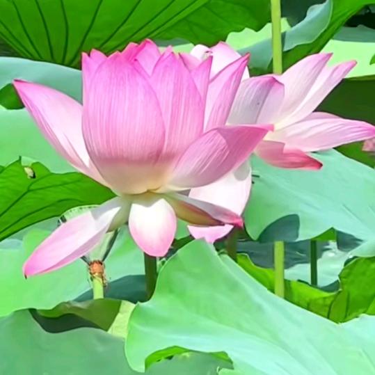 自律，为了遇见更好的自己