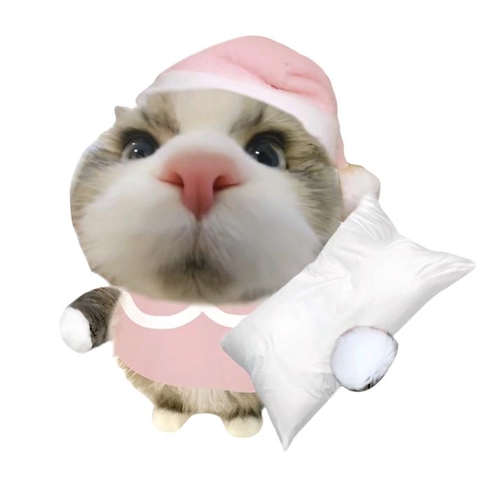 我的阿勒泰(见过十勤版)