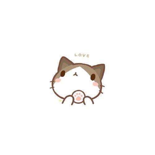追光者陪玩团团长 黑骑士💫 ²⁹