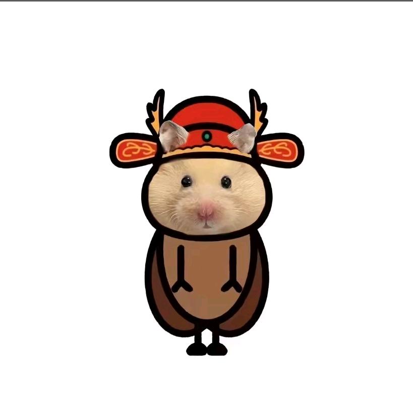 鼠于你