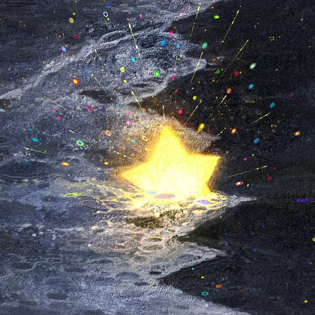野生海星