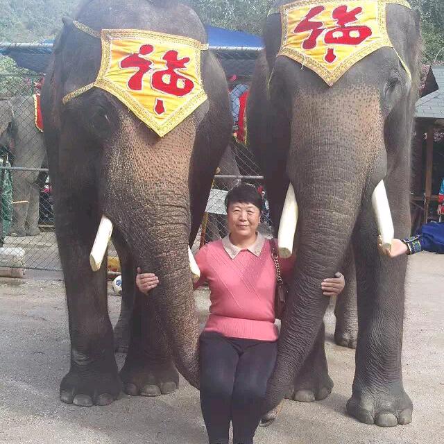 平遥酥梨代购胡秀英