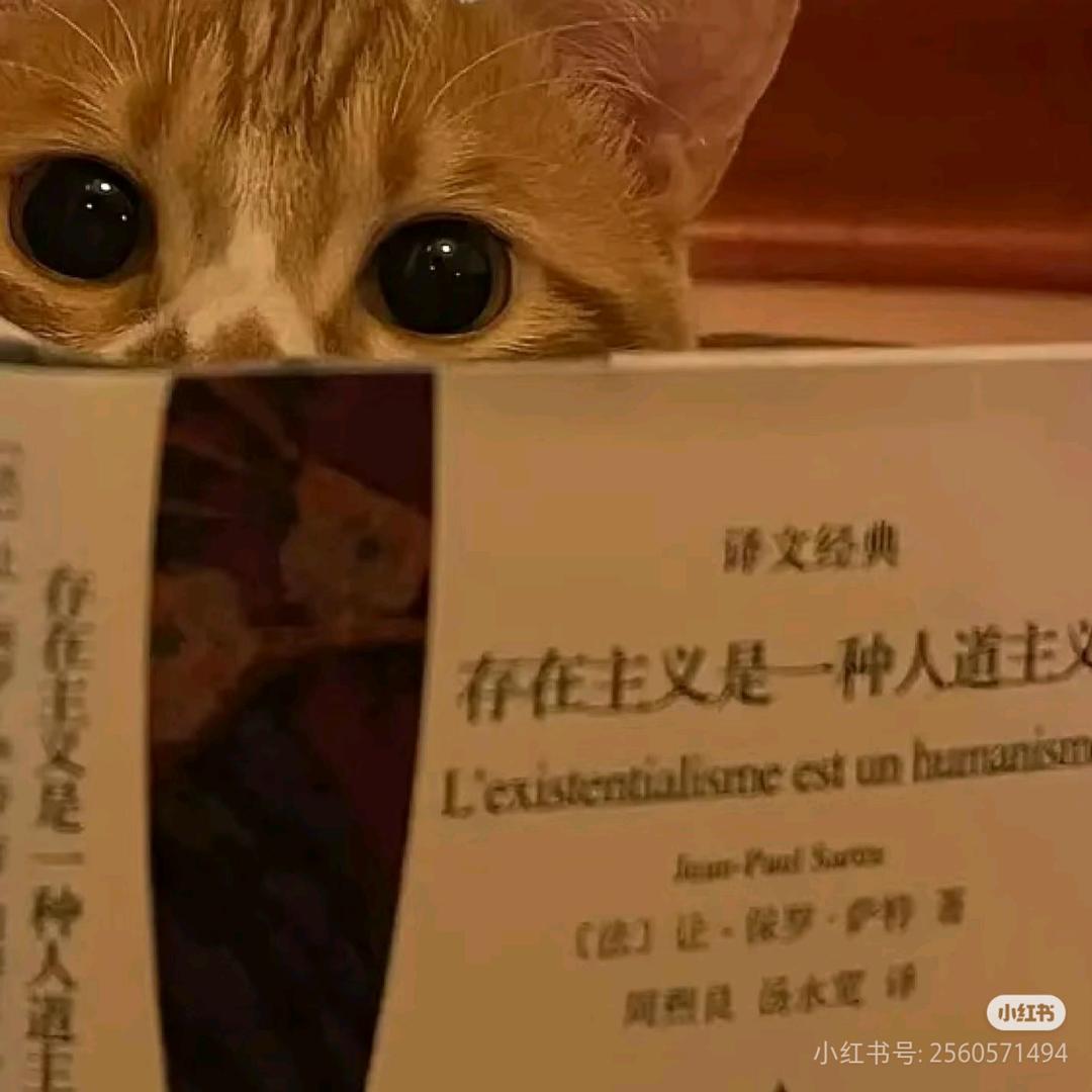 一页人间