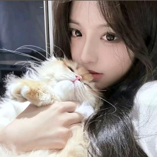 番茄不炒蛋
