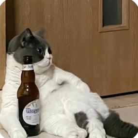 『晨曦づ迟暮』