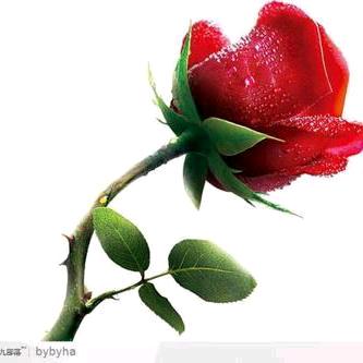 二姐🌹🌸👄👄