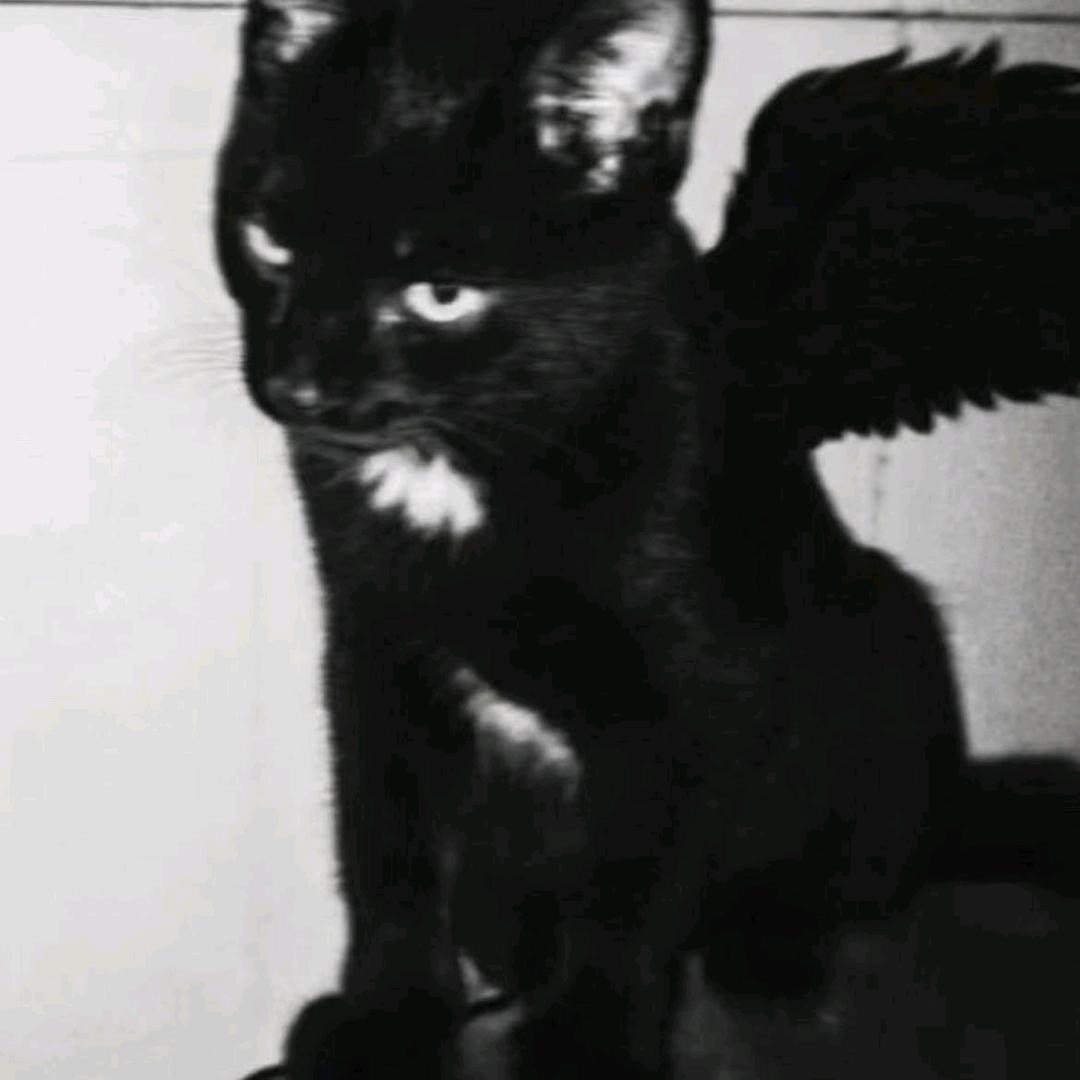 Archer