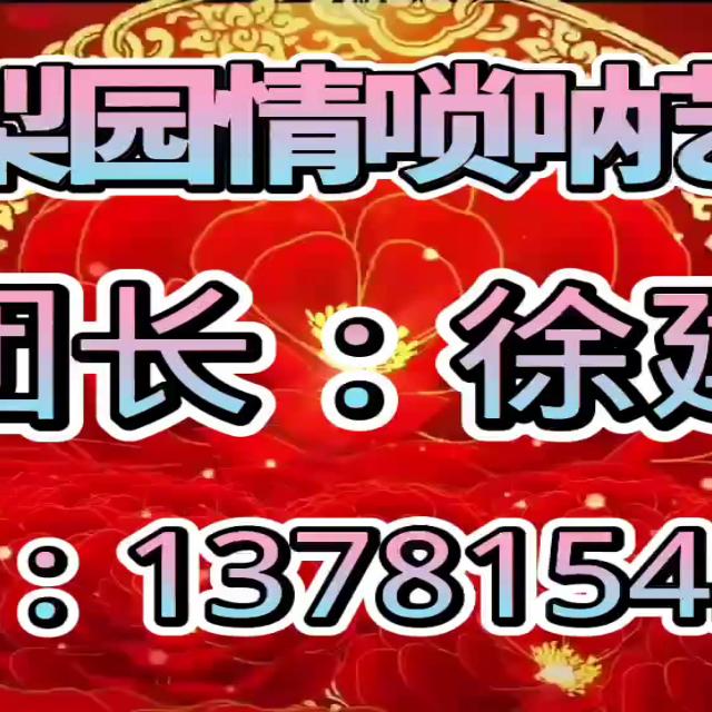 梨园情唢呐艺术团