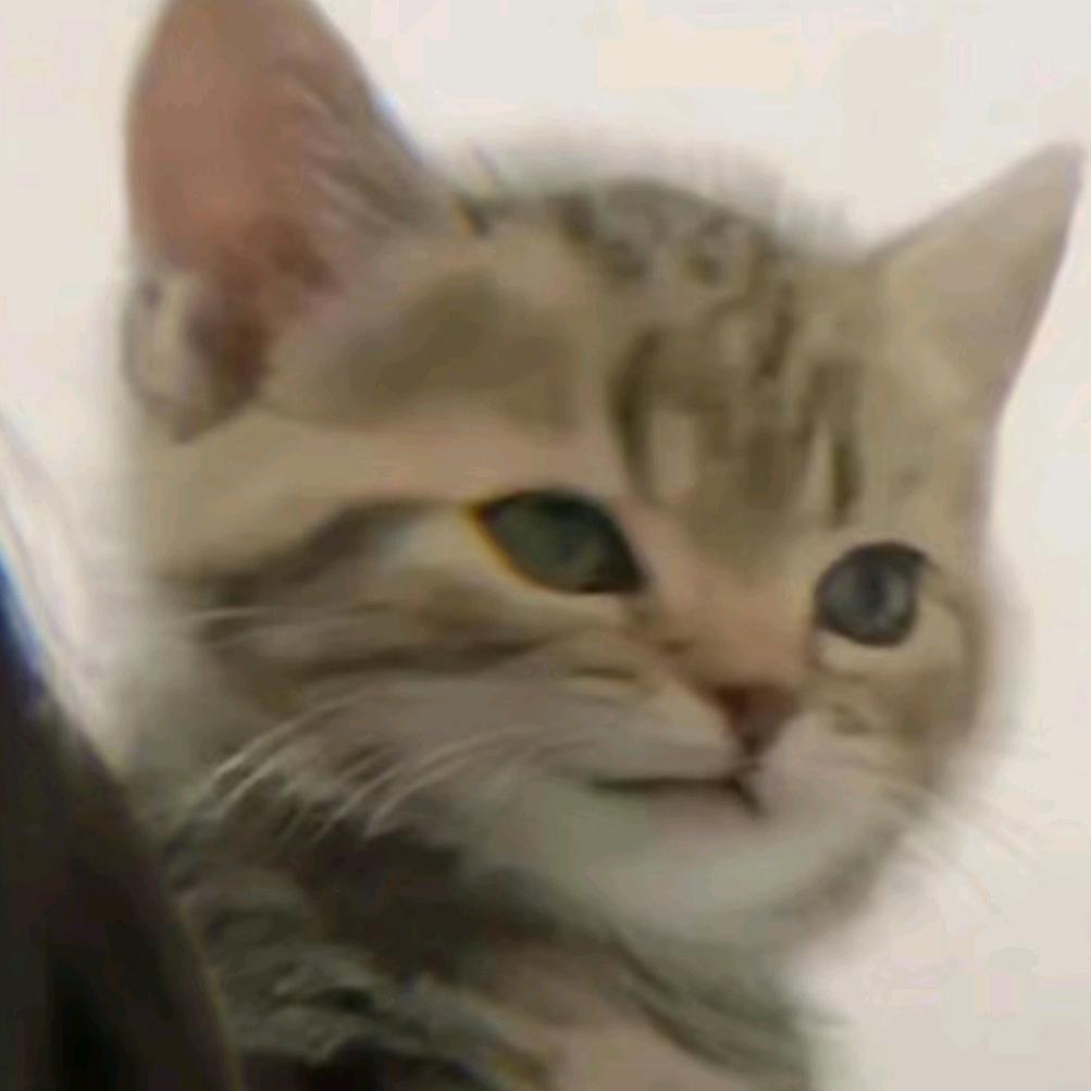 美美子