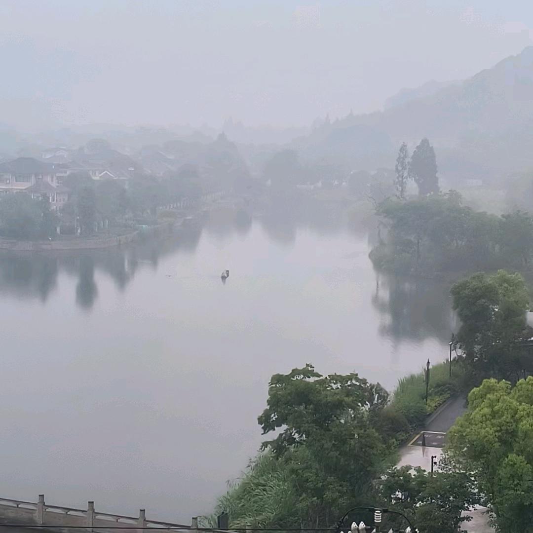 张振-功能型纺织助剂