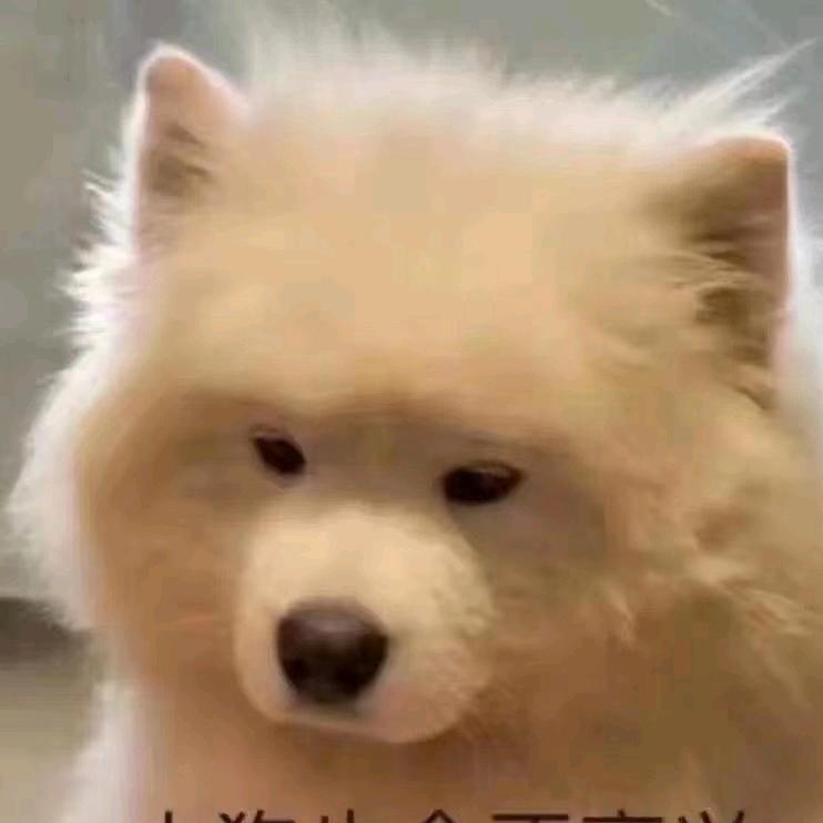 英雄联盟子羽