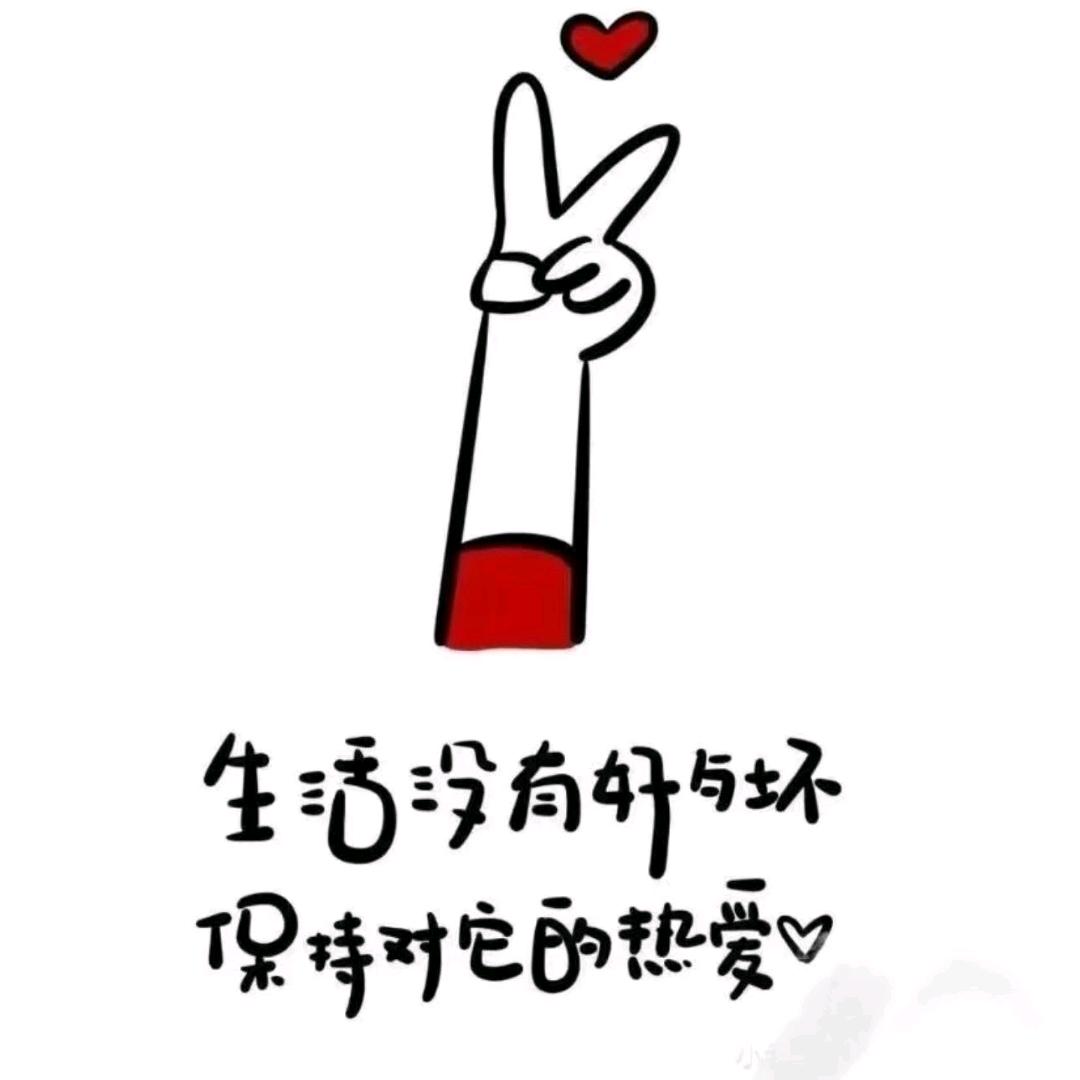 猫姨姨💋
