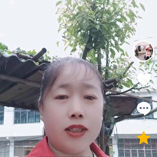 似曾相识