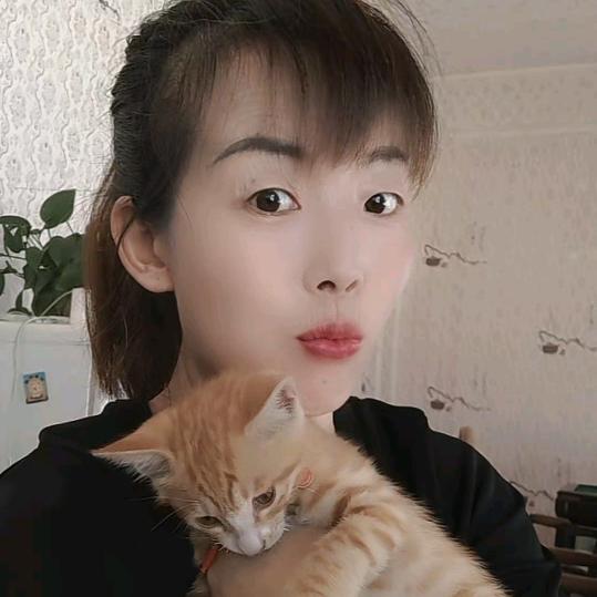 无话可说