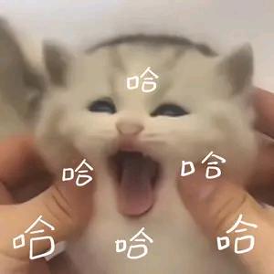 故故故故里.༷🌙