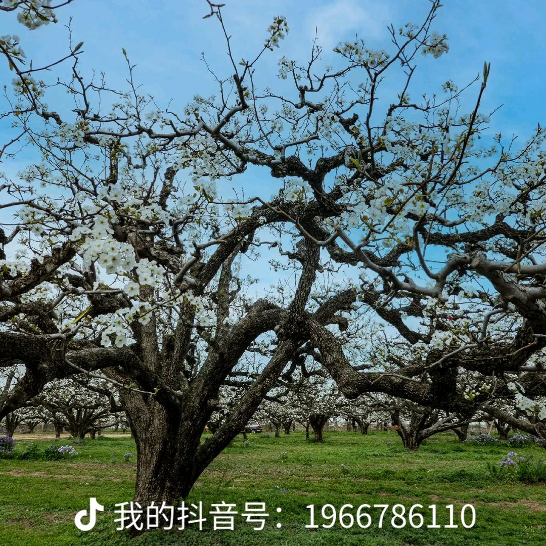 $勇往直前$
