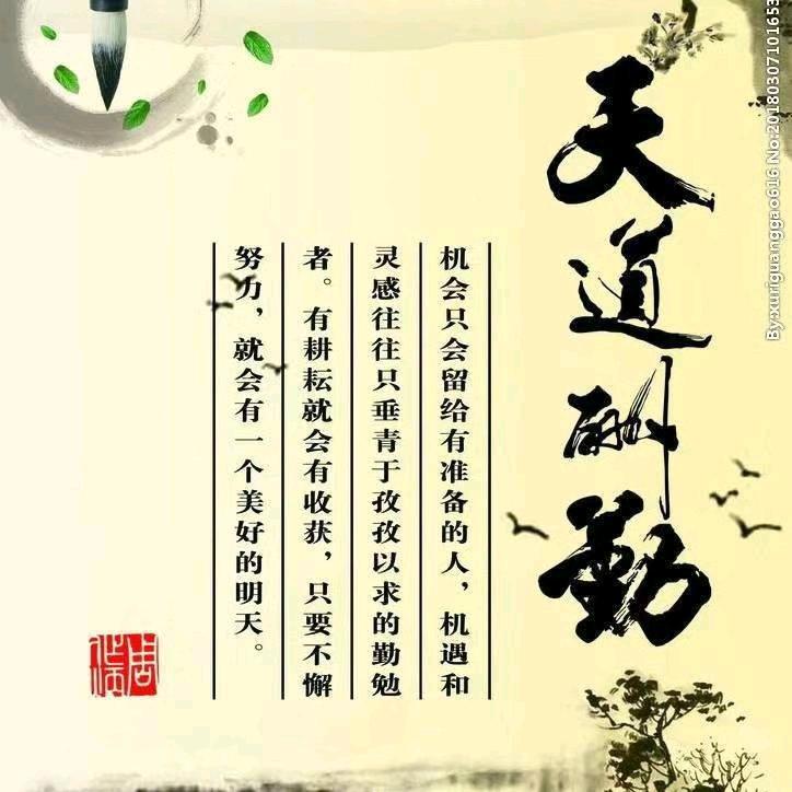 佛山小冉说车