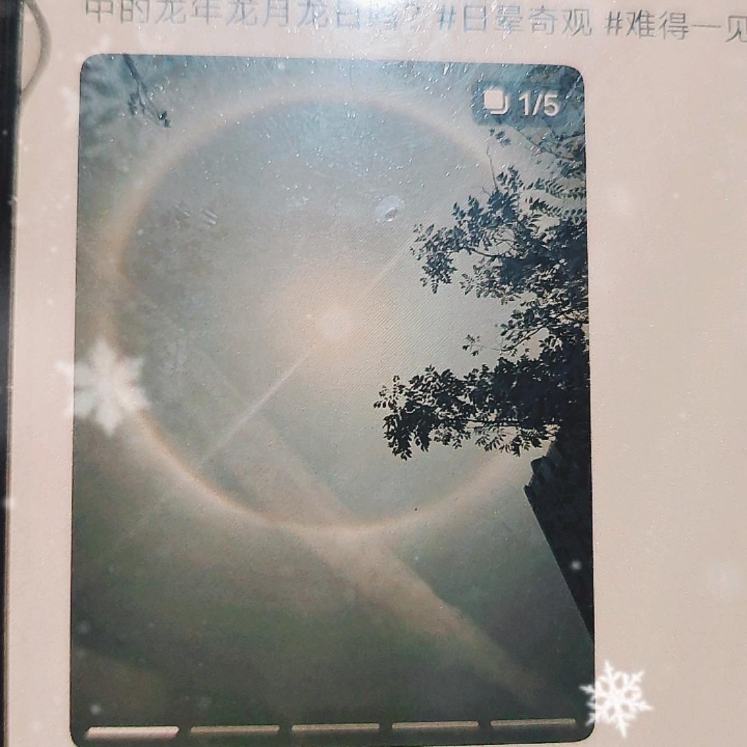 大麦中古12点见