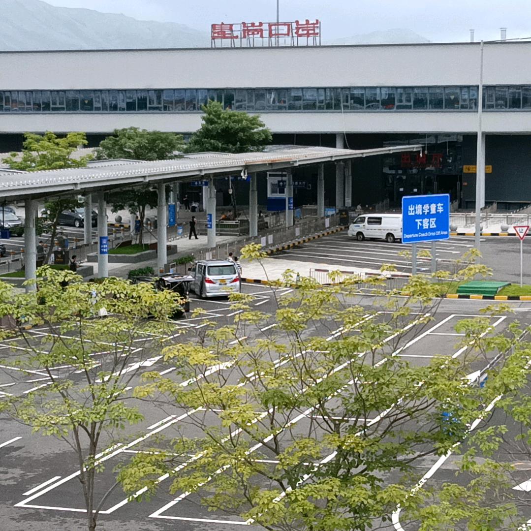 疯一样自由