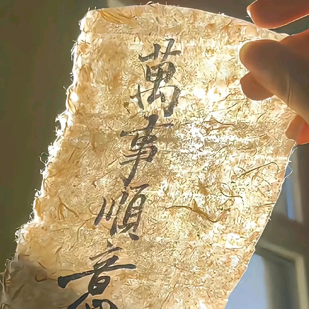 阿浪(三角洲行动)