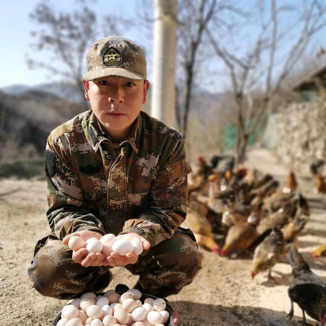 山食甄选
