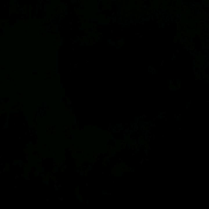 熙宝