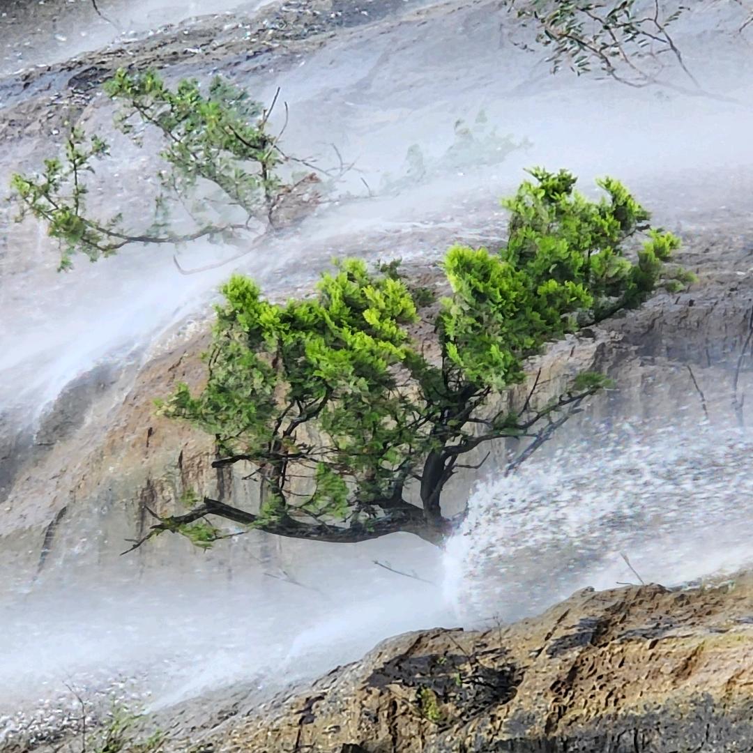 青州山水之村
