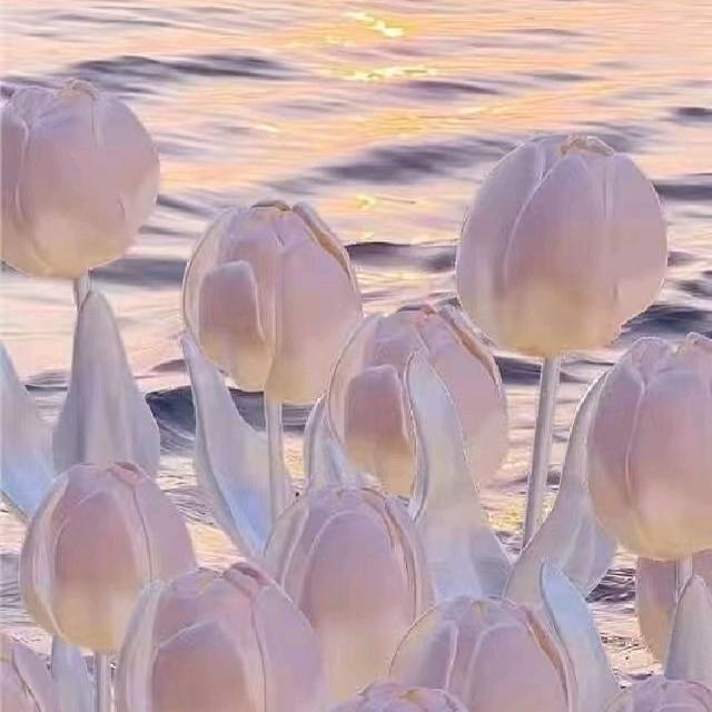 油桃树