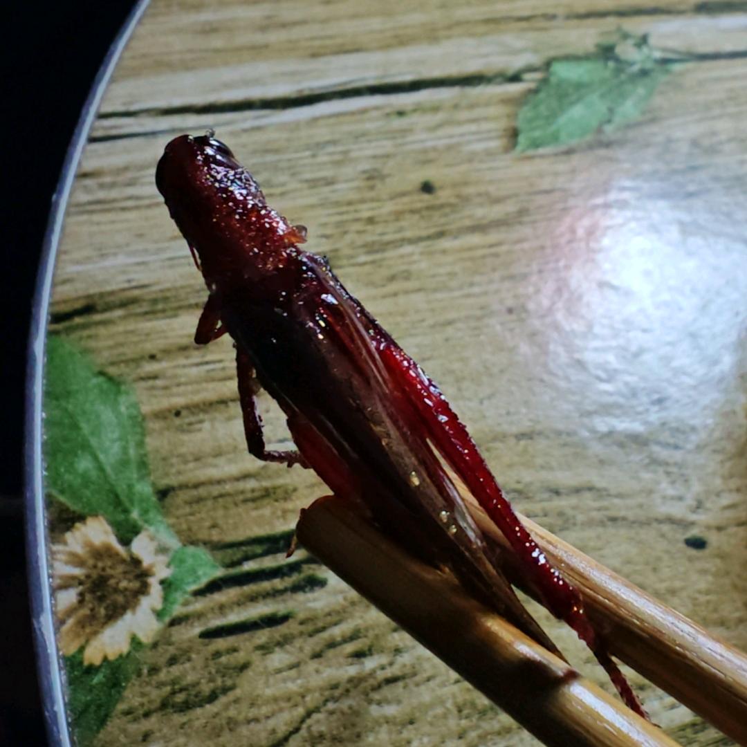 凉都吃货