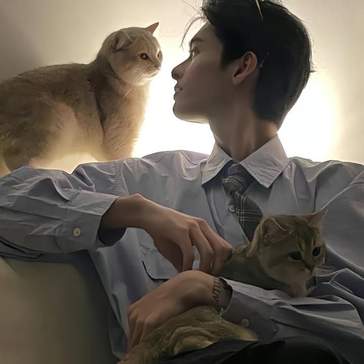 发呆的小宇