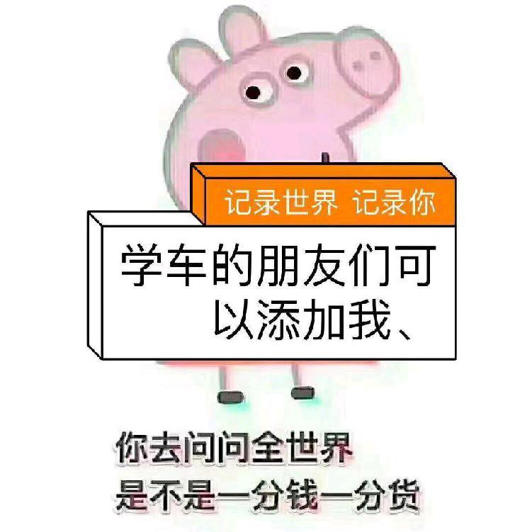 会宁驾考培训