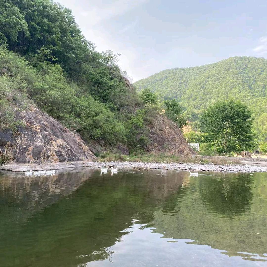 财神爷的独生女