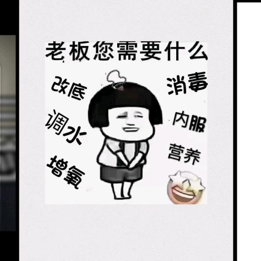 鳝解仁义