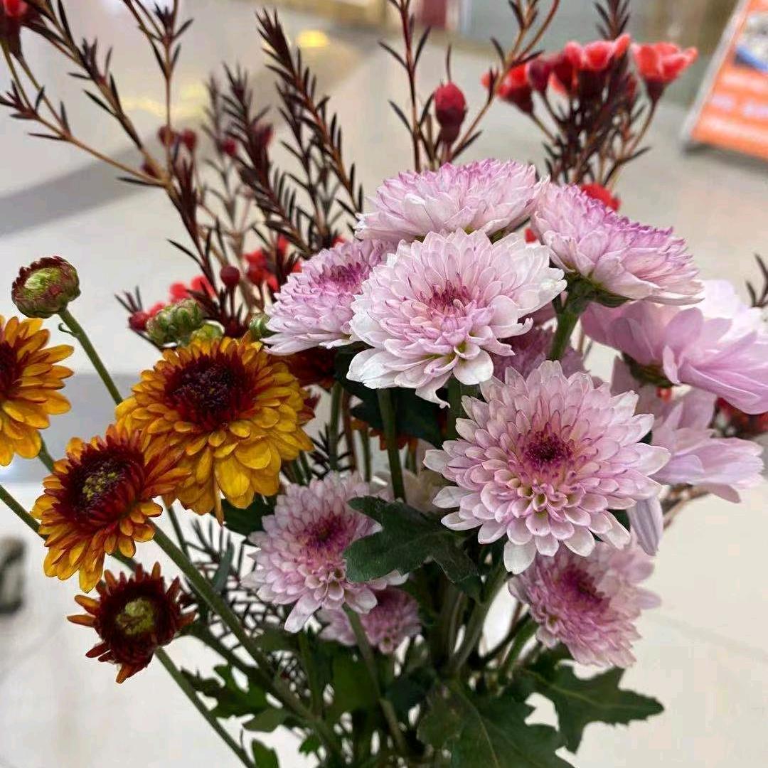 幸福的朱朱爱跳舞💃