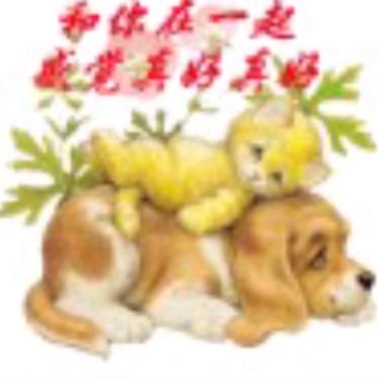 爱你一生一世💑💑