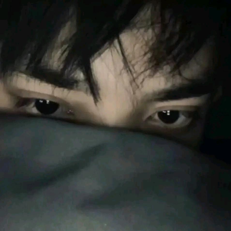 煎蛋广东百灵鸟