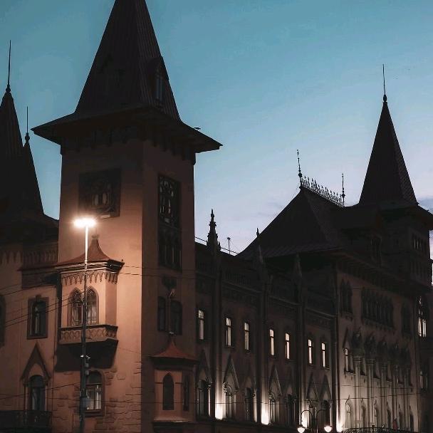 俄罗斯艺术系扛霸子