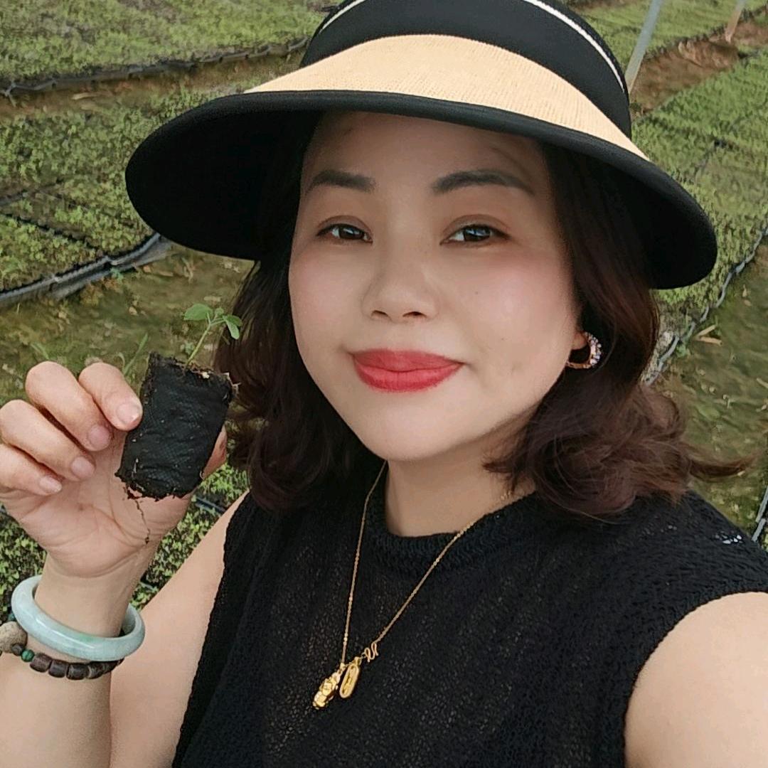 江西南丰物灵中药岚岚