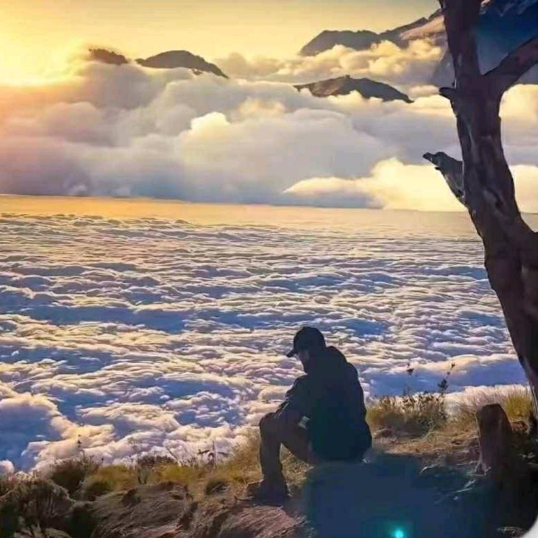 长  安  归   故  李