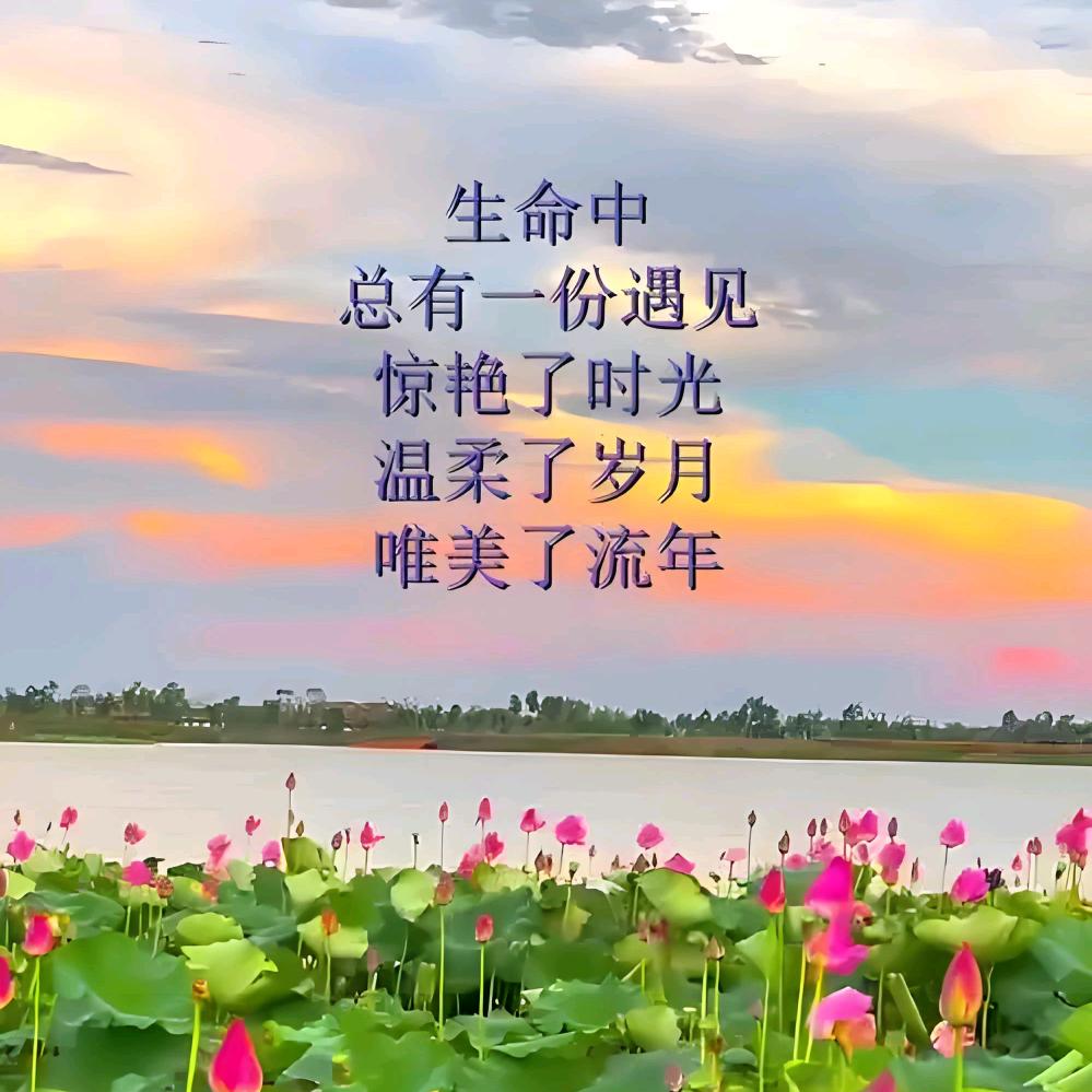 问心