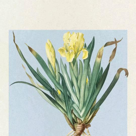 开心过好每一天