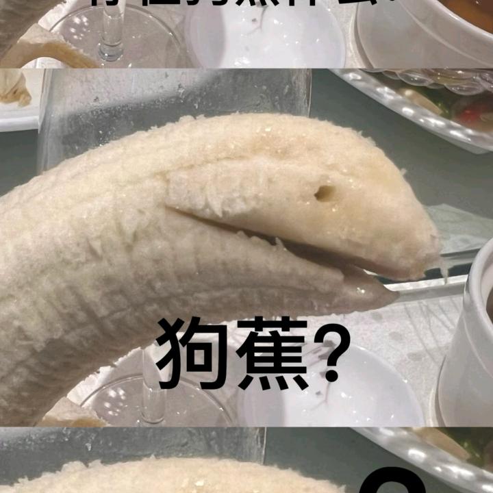 童观