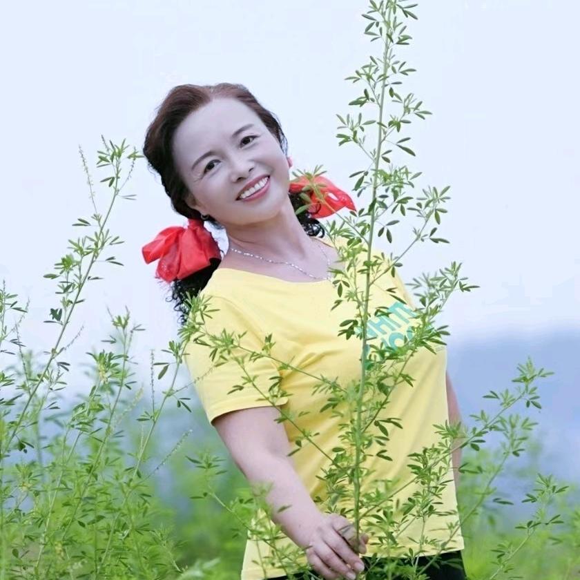 小兰