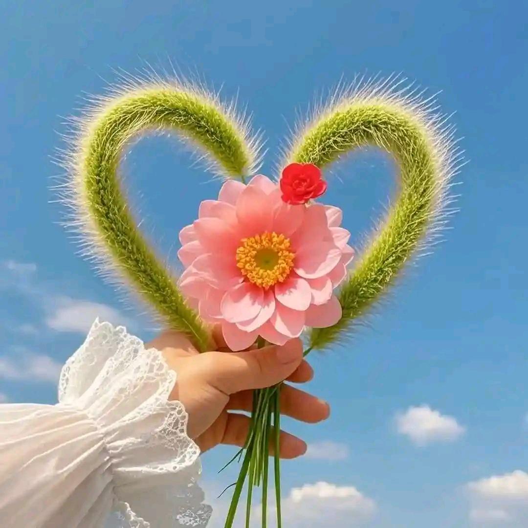 💞᭄坠落天使傻᪲丫⃨头᭄⃨₅₂₀