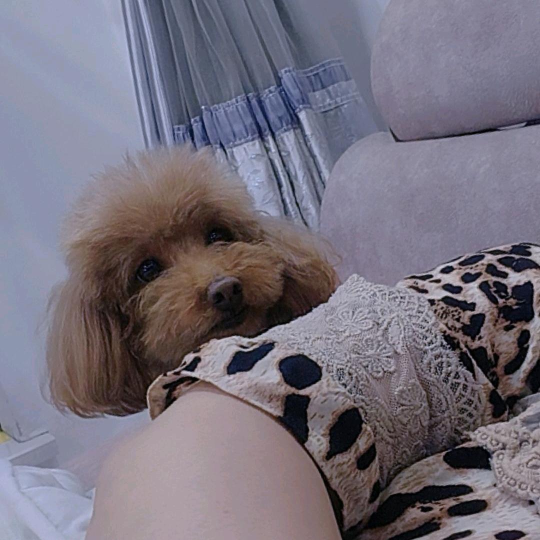 （事叶有陈）